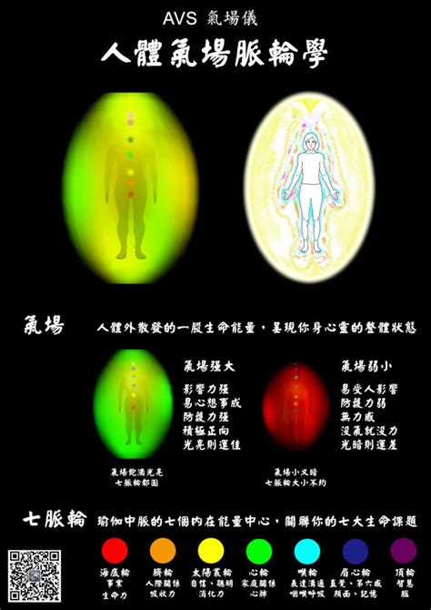 氣場脈輪檢測儀|氣場、脈輪，AVS氣場儀全攻略！